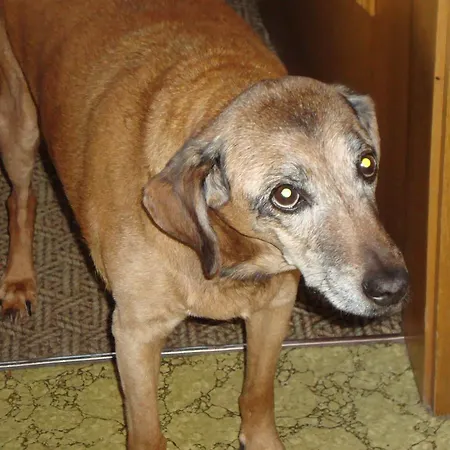 Appartamento Holiday-appartements