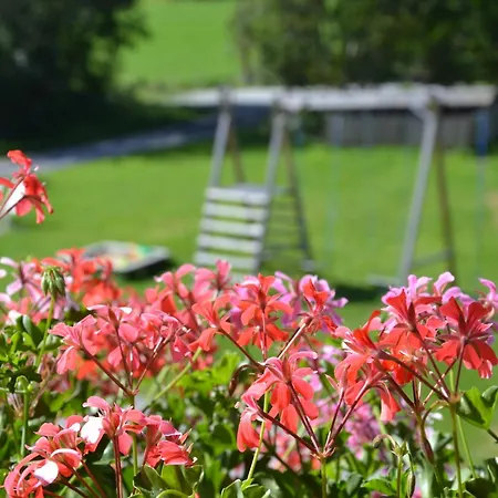 Holiday-appartements Flachau