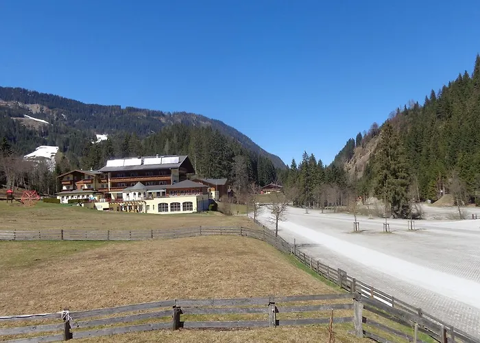 Daire Holiday-appartements Flachau