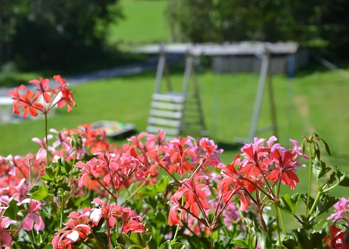 Holiday-appartements Flachau